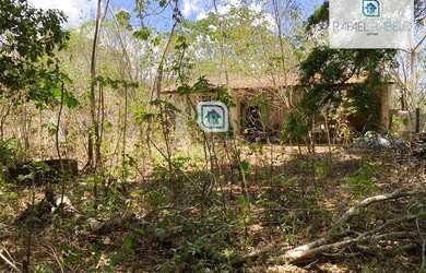 Imagem 4: Sítio, 11 m² - venda por R$ 330.000,00 ou aluguel por R$ 1.500,00/mês...