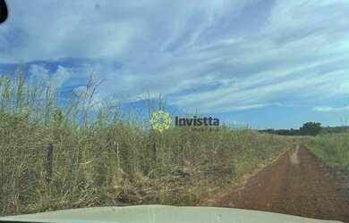 Imagem 9: Fazenda à venda, 2.463 Hectares em Aparecida do Rio Negro - TO