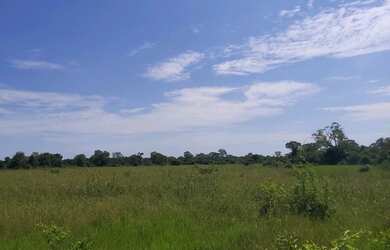 Imagem 2: Fazenda região de poconé