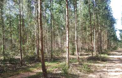 Imagem 14: Fazenda à venda, m² por R$ 13.500.000,00 - Setor Central - Novo Acordo/TO