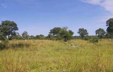 Imagem 13: Fazenda região de poconé