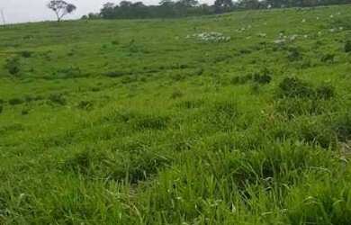 Imagem 2: Fazenda à venda, 10940000 m² por R$ 12.430.000,00 - Zona Rural - Rio...