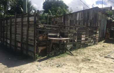 Imagem: A casa possui 5 Dormitórios, 2 Banheiros e 8444m² de Área