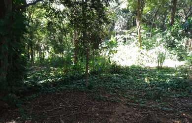 Imagem 7: Chácara, 5000 m² - venda por R$ 1.050.000,00 ou aluguel por R$ 3.900,00/mês...