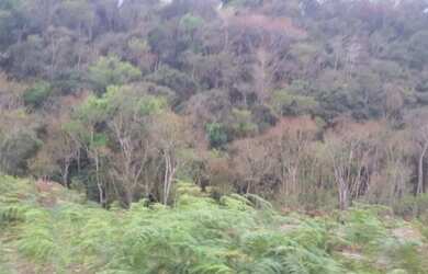 Imagem 6: Terreno barato. 4.500m² de Área