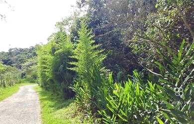 Imagem: O terreno possui 5.324m² de Área e está localizado em Vila