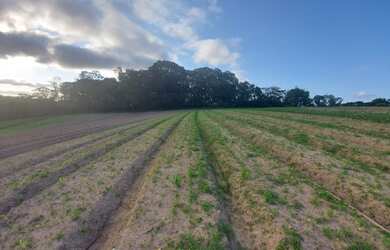 Imagem 10: Lote/Terreno para venda tem 600 metros quadrados em Jardim Lavapes das...