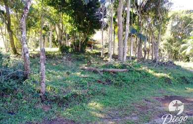 Imagem 6: Terreno à venda, 530 m² por R$ 280.000,00 - Siriú - Garopaba/SC