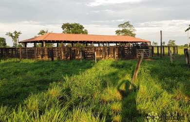 Imagem: A fazenda possui 14500000m² de Área e está localizado em