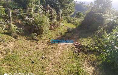 Imagem 12: Área à venda, 605000 m² por R$ 450.000,00 - Zona Rural - Itaperuçu/PR