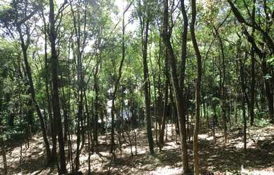 Imagem 4: Casa Localizada no Condom nio Retiro do Chal -Brumadinho/MG