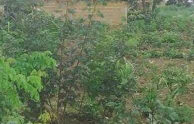 Imagem: O terreno e está localizado em Porto Nacional, TO à venda