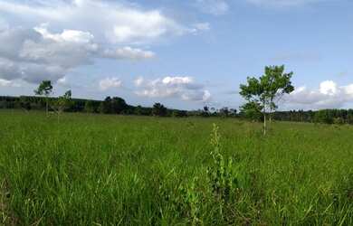 Imagem 5: Fazenda para venda, tem 750.000 m² em Porto Seguro - Porto Seguro - BA