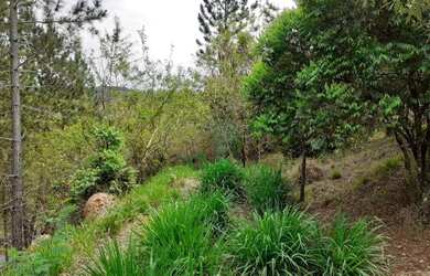 Imagem 4: Terreno à venda, 1698 m² por R$ 295.000,00 - Morada das Nascentes Joaquim...