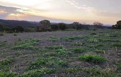 Imagem: O terreno possui 500m² de Área e está localizado em Nova
