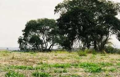 Imagem 2: Lote/Terreno para venda possui 500 metros quadrados em Nova Cerejeira...