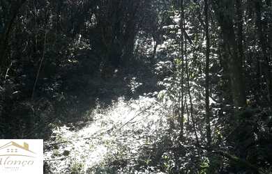 Imagem: O terreno possui 20m² de Área e está localizado em Nova