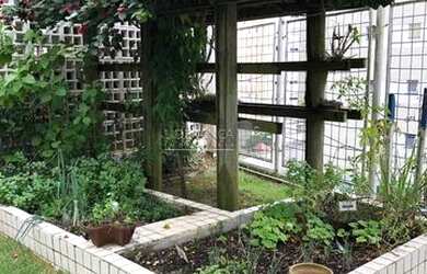 Imagem 7: FLORIANóPOLIS - Apartamento Padrão - Parque São Jorge