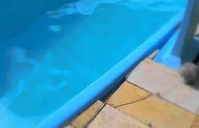 Imagem: A casa possui 2 Dormitórios, 2 Banheiros, 3 Vagas na garagem