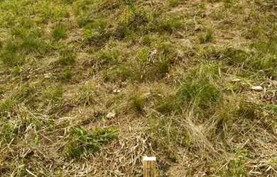 Imagem 3: Terreno em Mairiporã: segurança e lazer para sua família!