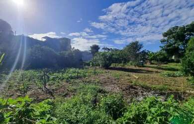 Imagem: O terreno possui 1.305m² de Área e está localizado em Barra