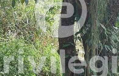 Imagem 16: Terreno à venda, Freguesia Jacarepaguá - RIO DE JANEIRO/RJ