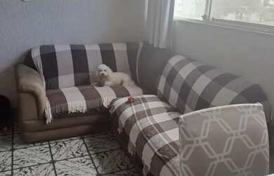 Imagem: O apartamento possui 3 Dormitórios, 1 Banheiro, 2 Vagas na