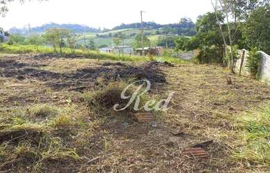 Imagem 4: Terreno à venda, 300 m² por R$ 60.000,00 - Jardim Nova Ipelândia -...