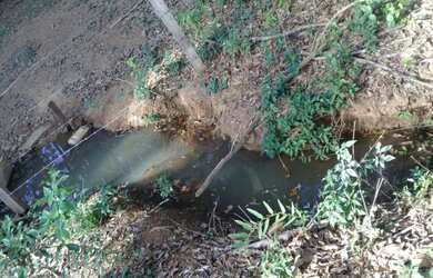 Imagem 16: Sítio / Chácara em Ouro Fino - MG no Sul de Minas Gerais