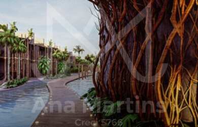 Imagem 3: Beira Mar de Tatuamunha. Um paraíso na terra