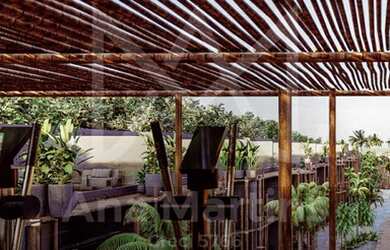 Imagem 4: Beira Mar de Tatuamunha. Um paraíso na terra