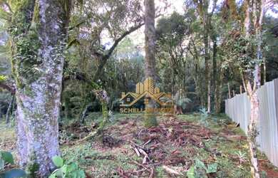Imagem 7: Terreno à venda, 592 m² por R$ 375.000,00 - Bosque Sinoserra - Canela/RS