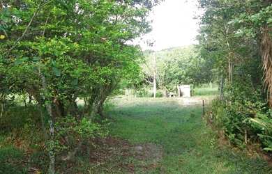 Imagem 3: Porto Alegre - Terreno Padrão - Boa Vista do Sul