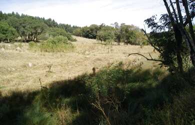 Imagem 9: Sitio Pilar do Sul SP. 96.800m² de Área