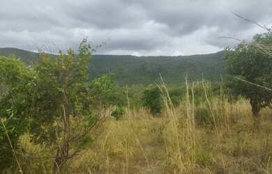 Imagem 3: Lote. 16.300m² de Área