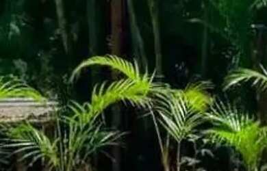 Imagem 15: Casa para Venda em Saquarema, Bacaxá, 5 dormitórios, 5 suítes, 9 banheiros,...