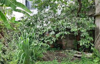 Imagem 7: Lote à venda, Freguesia Jacarepaguá - RIO DE JANEIRO/RJ