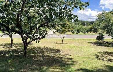 Imagem 7: TERRENO EM GRAMADO. 800m² de Área