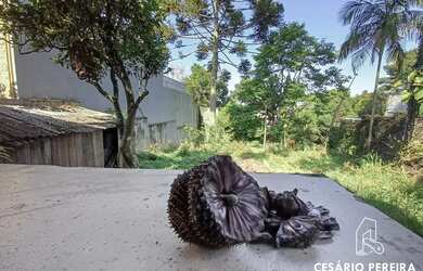 Imagem 10: Terreno ZR2 no Ecoville. Churrasqueira, 86m² de Área, 1 Banheiroe1 Dormitório