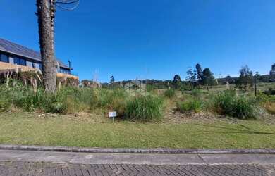 Imagem 9: Terreno à Venda no Loteamento Terras Altas, Gramado
