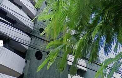 Imagem: O apartamento possui 1 Dormitório, 1 Banheiro, 1 Vaga na garagem