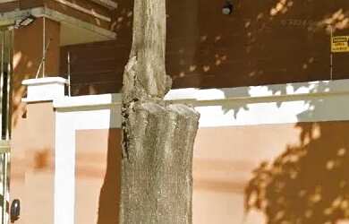 Imagem: Apartamento à venda, 85,2m², 3 quartos, 2 vagas, Buritis