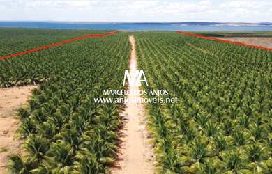 Imagem 4: Fazenda São João