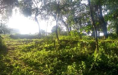 Imagem 16: vende-se terreno 810m² urgente