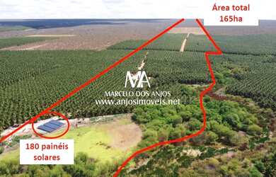 Imagem: A fazenda e está localizado em Rodelas, BA à venda por R$5.000.000