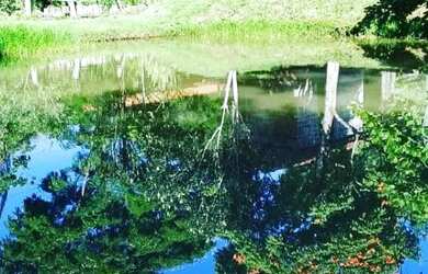 Imagem 9: Sítio / Chácara em Ouro Fino - MG no Sul de Minas Gerais