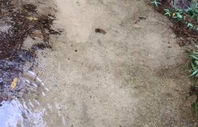 Imagem 12: Maravilhoso Sítio Em Rio Preto M.G. 168 Hectares