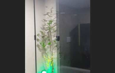 Imagem 7: Linda Casa no Santa Inês