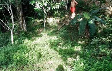 Imagem 4: Vendo lote de 1000 mm² no ramal do pai rosa por 30 mil