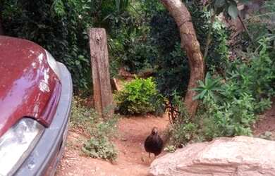 Imagem 6: Venda. 360m² de Área